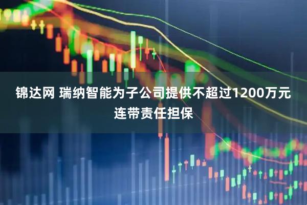 锦达网 瑞纳智能为子公司提供不超过1200万元连带责任担保